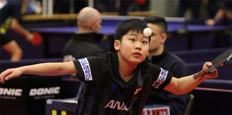 的辉煌成就 的辉煌成就