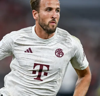 本次协议的 本次协议的